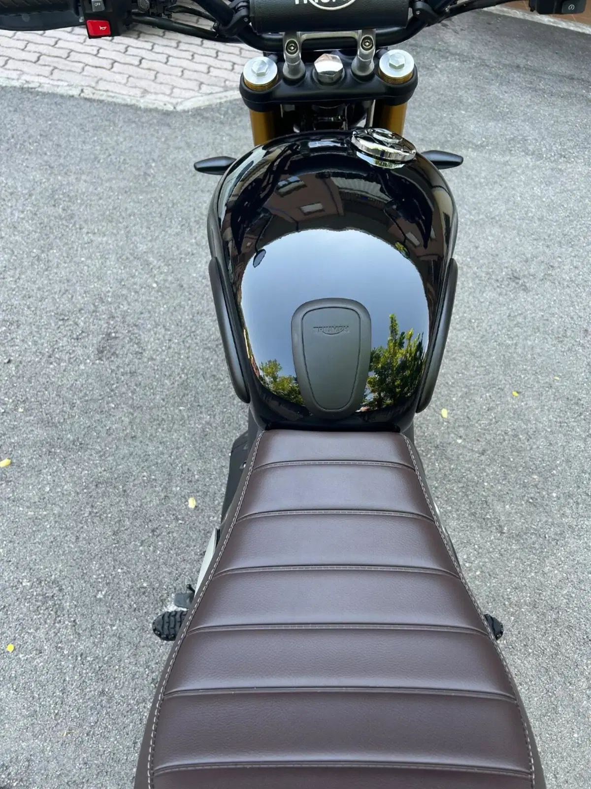 Triumph Scrambler 400 X (2024 - 26) (6)