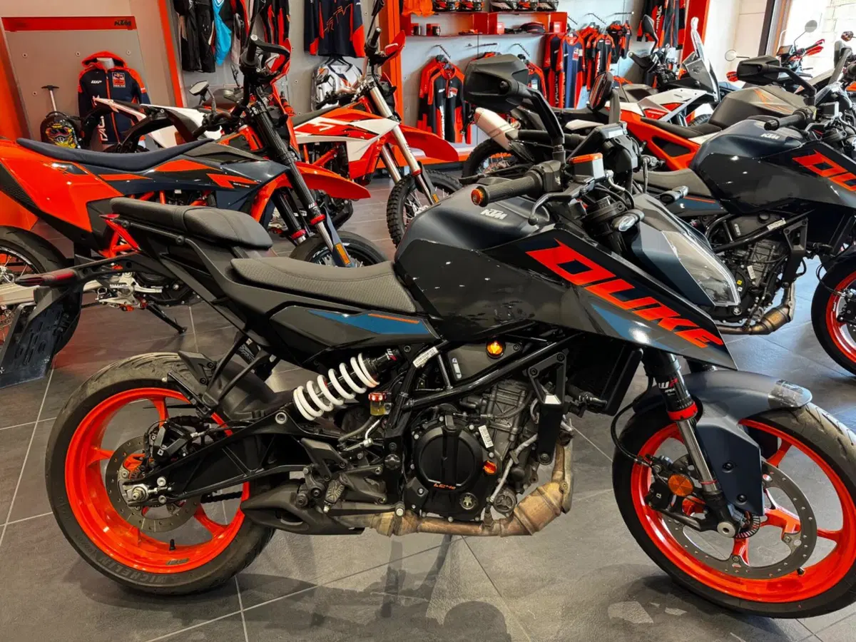 KTM 125 Duke (2024 - 25) (2)