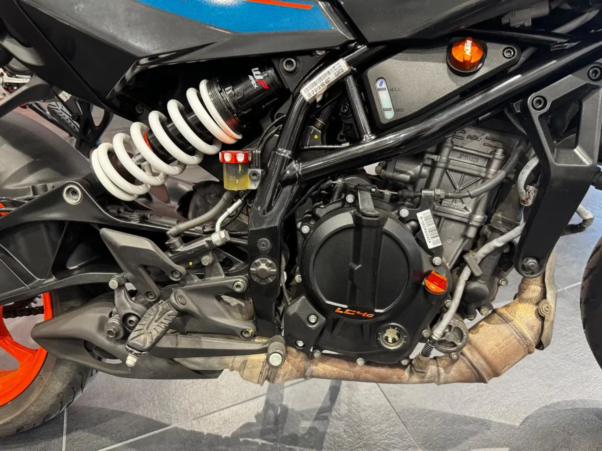 KTM 125 Duke (2024 - 25) (4)