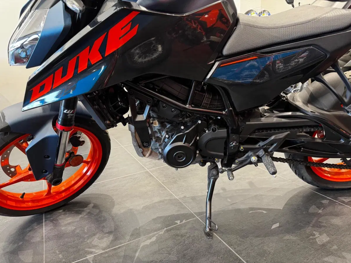 KTM 125 Duke (2024 - 25) (12)