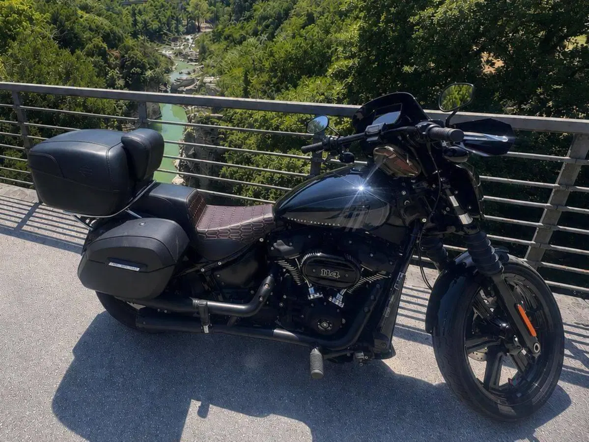 Harley-Davidson Street Bob 114 (2021 - 24) (4)