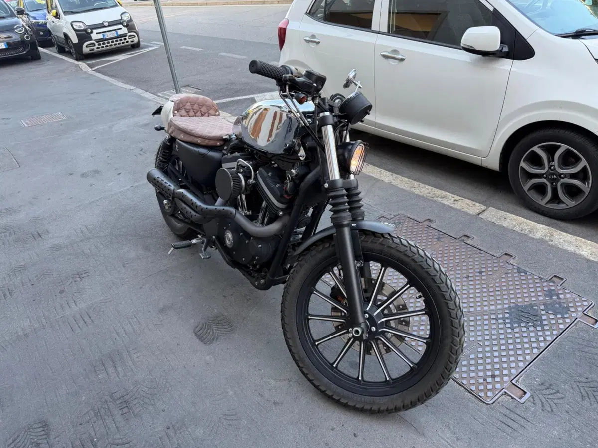Harley-Davidson 883 Iron (2009 - 11) - XL 883N (2)