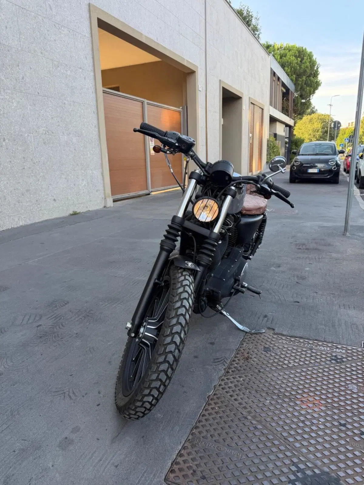 Harley-Davidson 883 Iron (2009 - 11) - XL 883N (3)