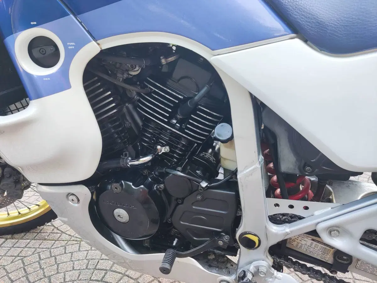 Honda transalp 600 (7)