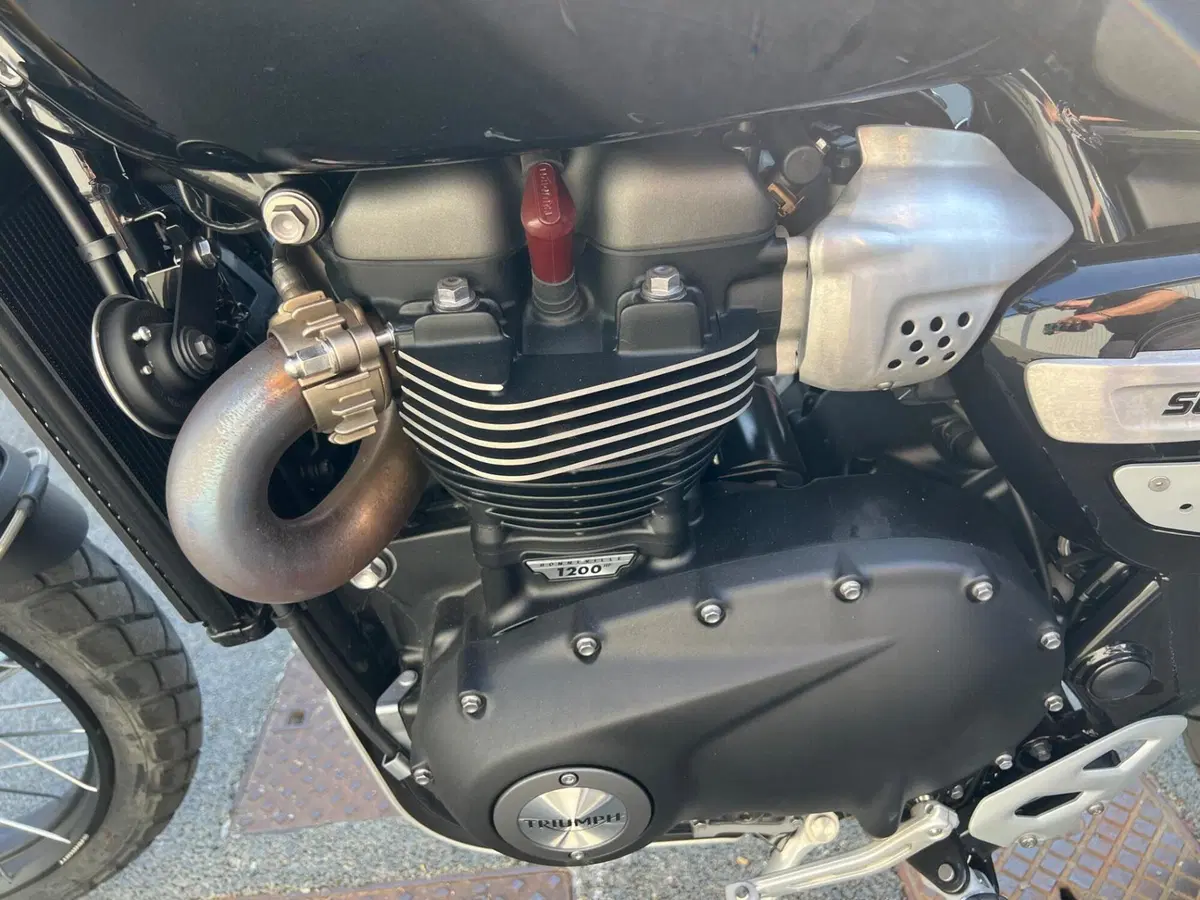 Triumph Scrambler 1200 XE (2024 - 25) (11)