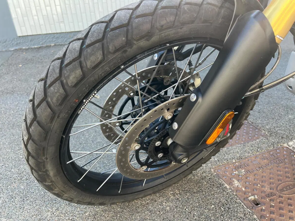 Triumph Scrambler 1200 XE (2024 - 25) (19)