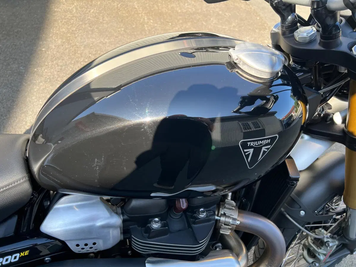Triumph Scrambler 1200 XE (2024 - 25) (8)