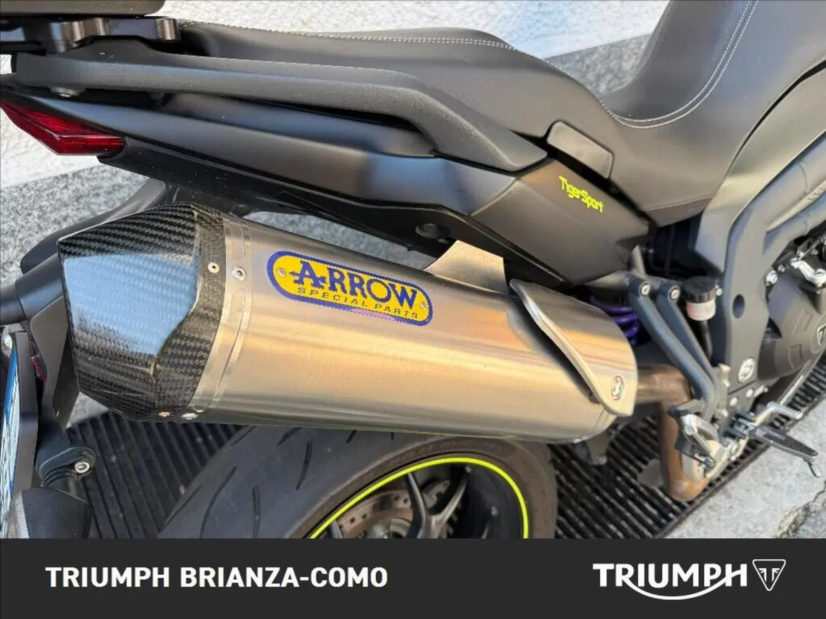Triumph Tiger 1050 Sport ABS (2016 - 20) (5)