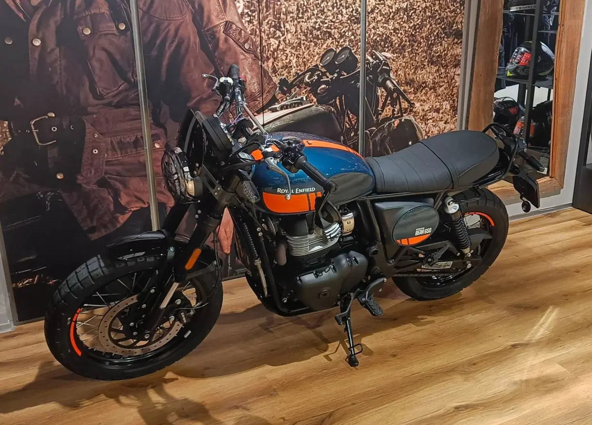 Royal Enfield Bear 650 (2025 - 26) (3)