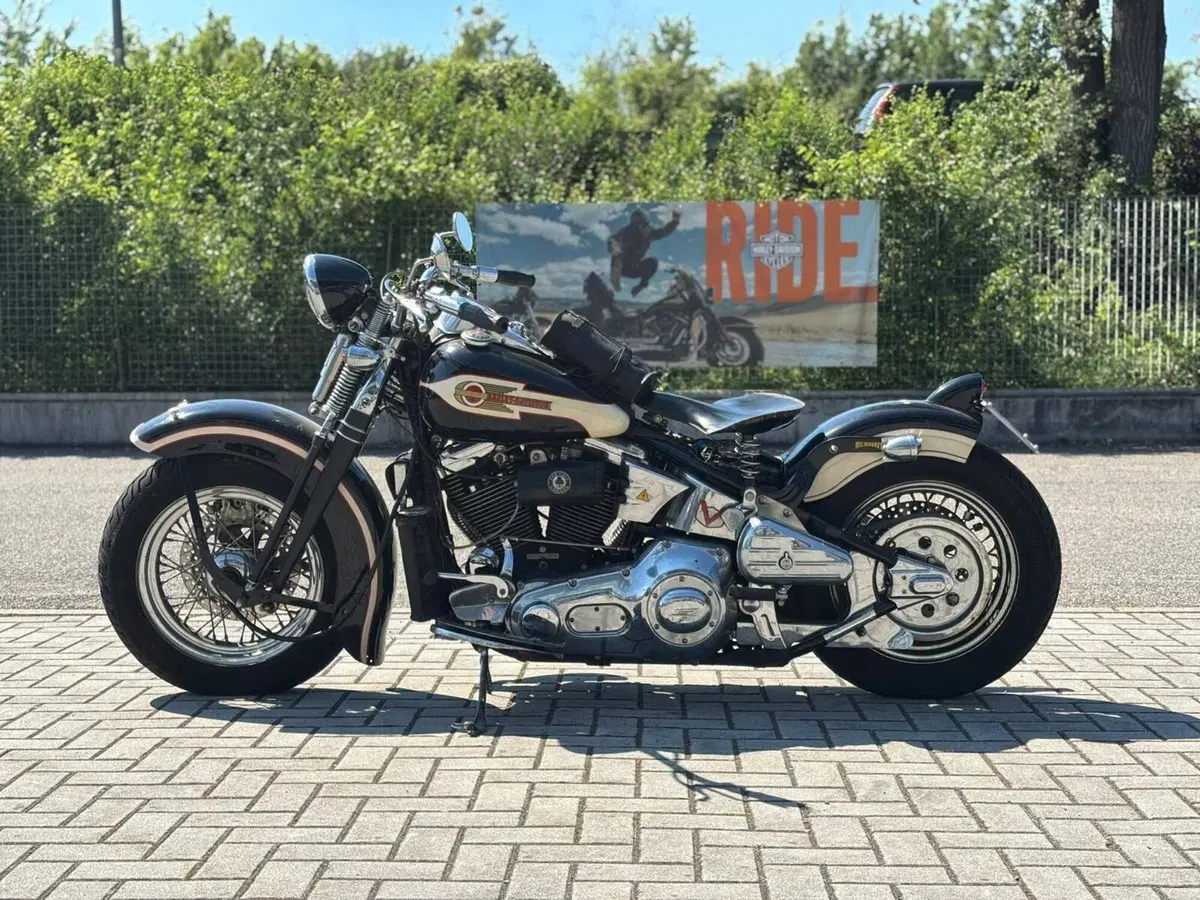 Harley-Davidson 1340 Springer (1990 - 98) - FXSTS (7)