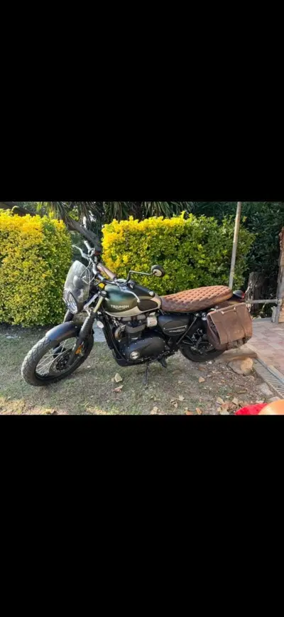 Triumph Street Scrambler 900 (2021 - 22) usata