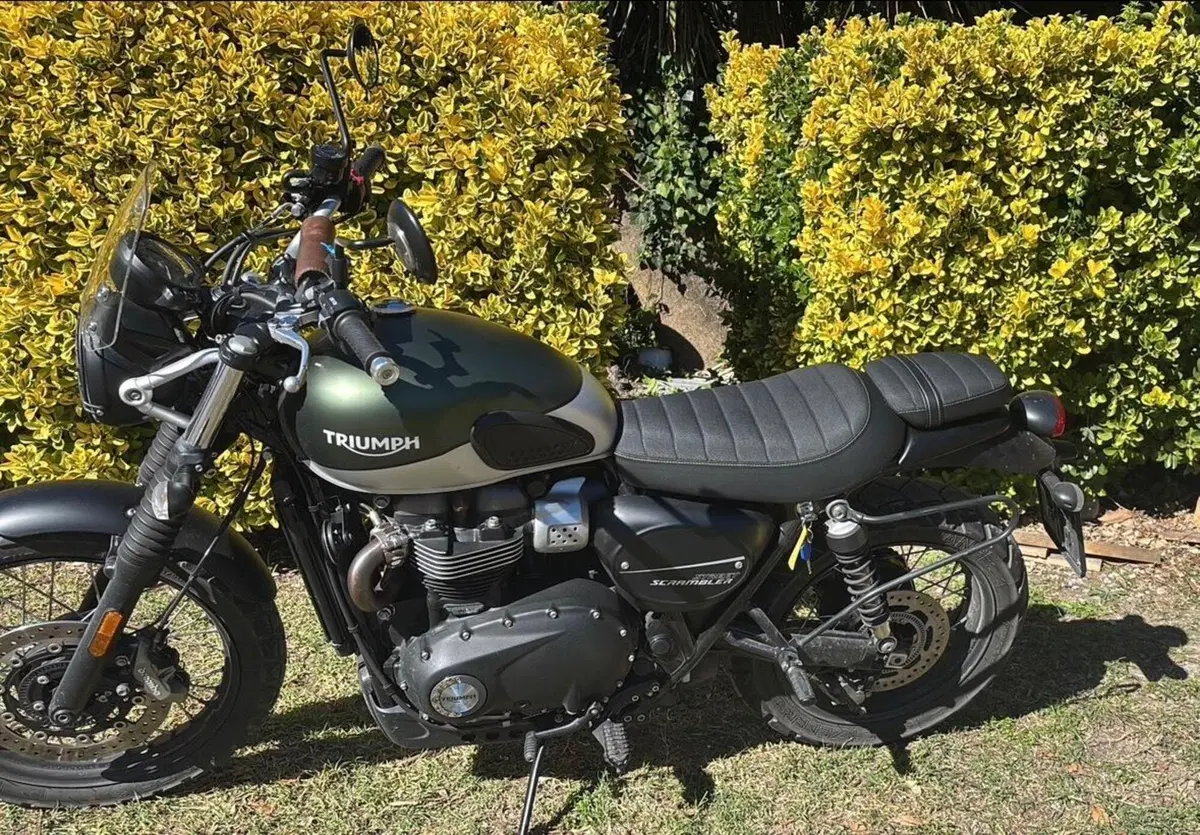 Triumph Street Scrambler 900 (2021 - 22) (4)