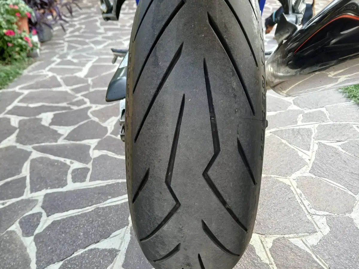 Honda CBR 600 F (2001 - 06) (5)