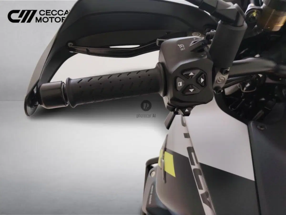 Moto Guzzi Stelvio PFF (2024 - 26) (12)
