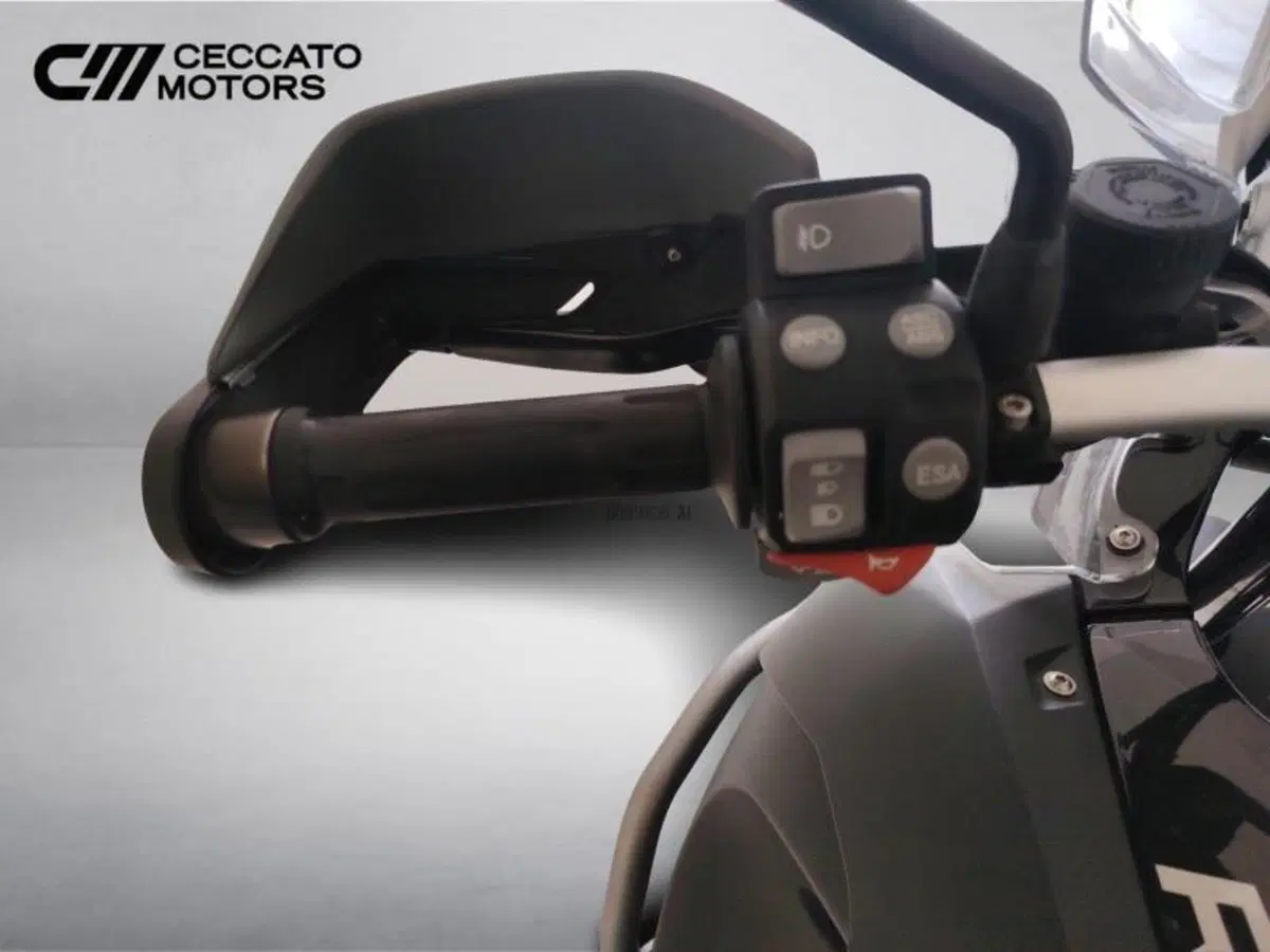 Bmw R 1200 GS Adventure (2010 - 13) (13)