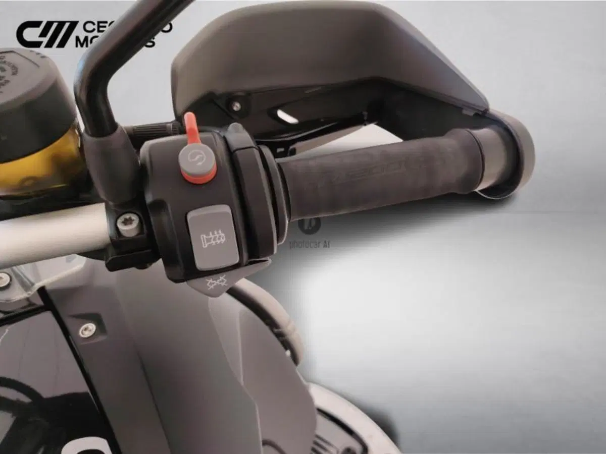 Bmw R 1200 GS Adventure (2010 - 13) (14)