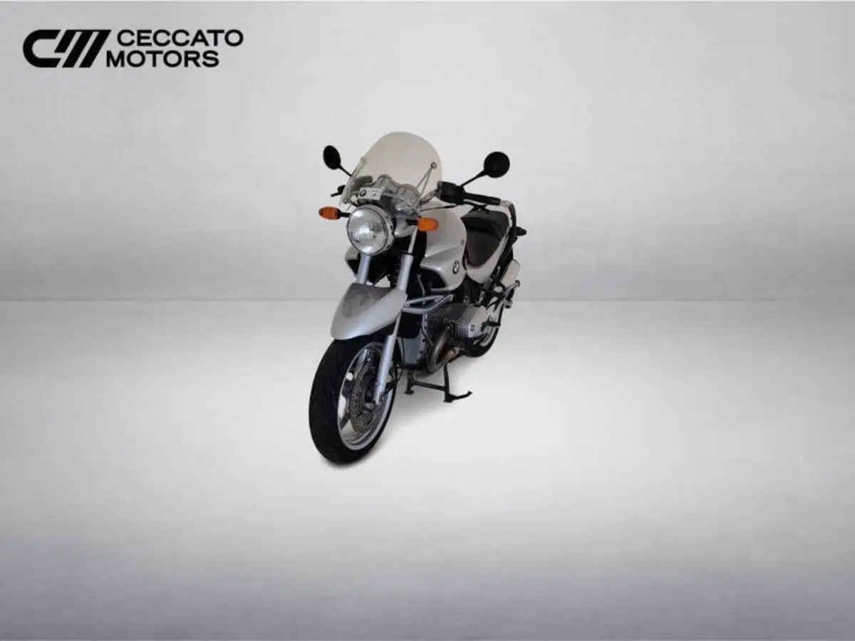 Bmw R 1150 R (2000 - 07) (11)