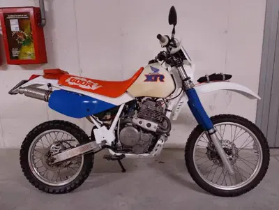 Honda XR 600 R (1990 - 94) usata