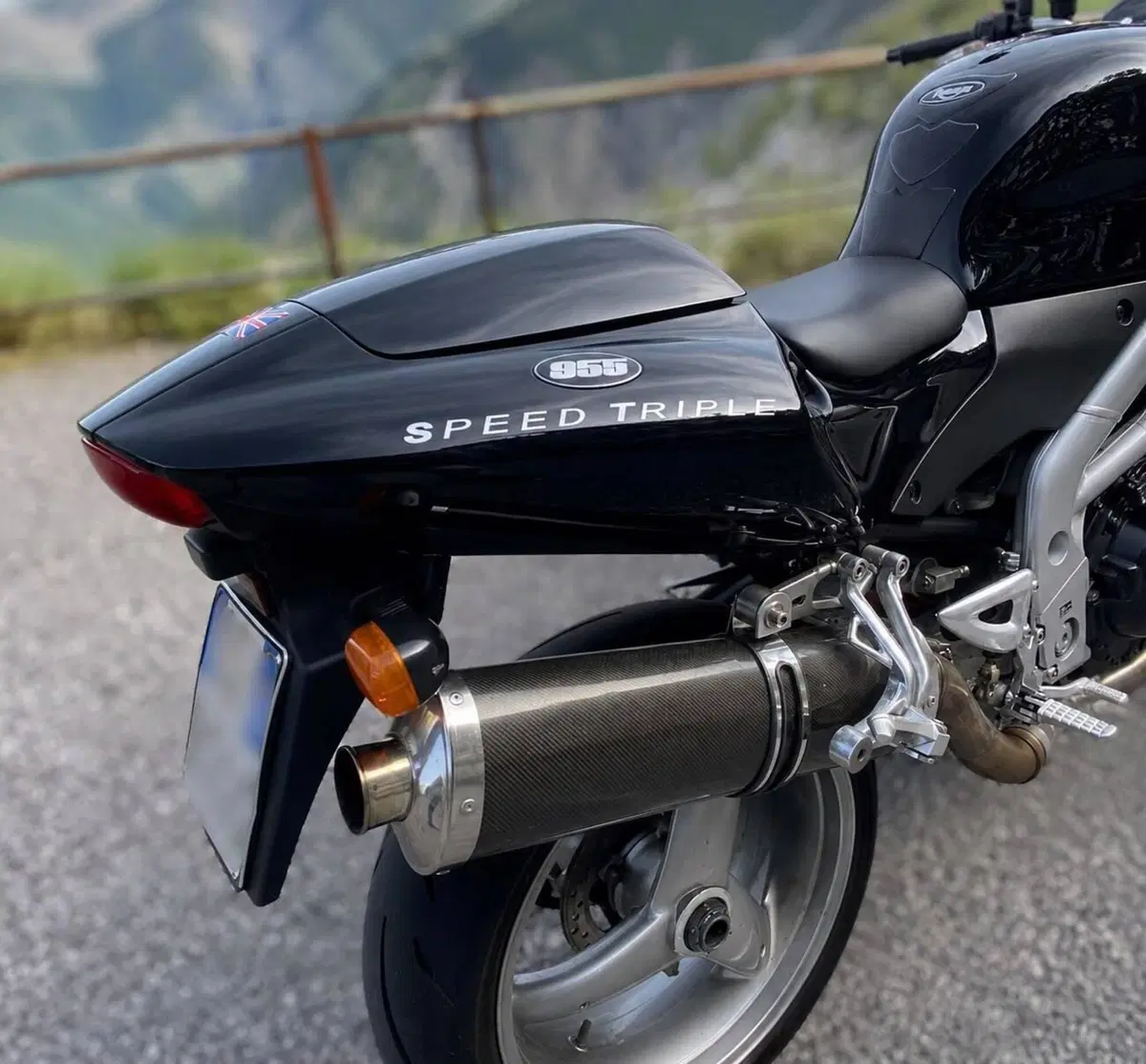 Triumph Speed Triple 955 (2002 - 04) (4)