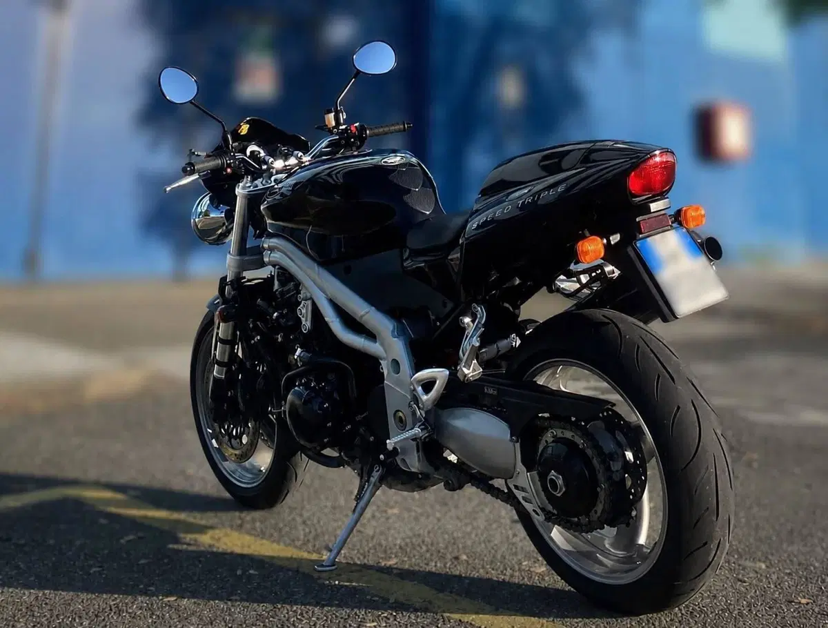 Triumph Speed Triple 955 (2002 - 04) (3)