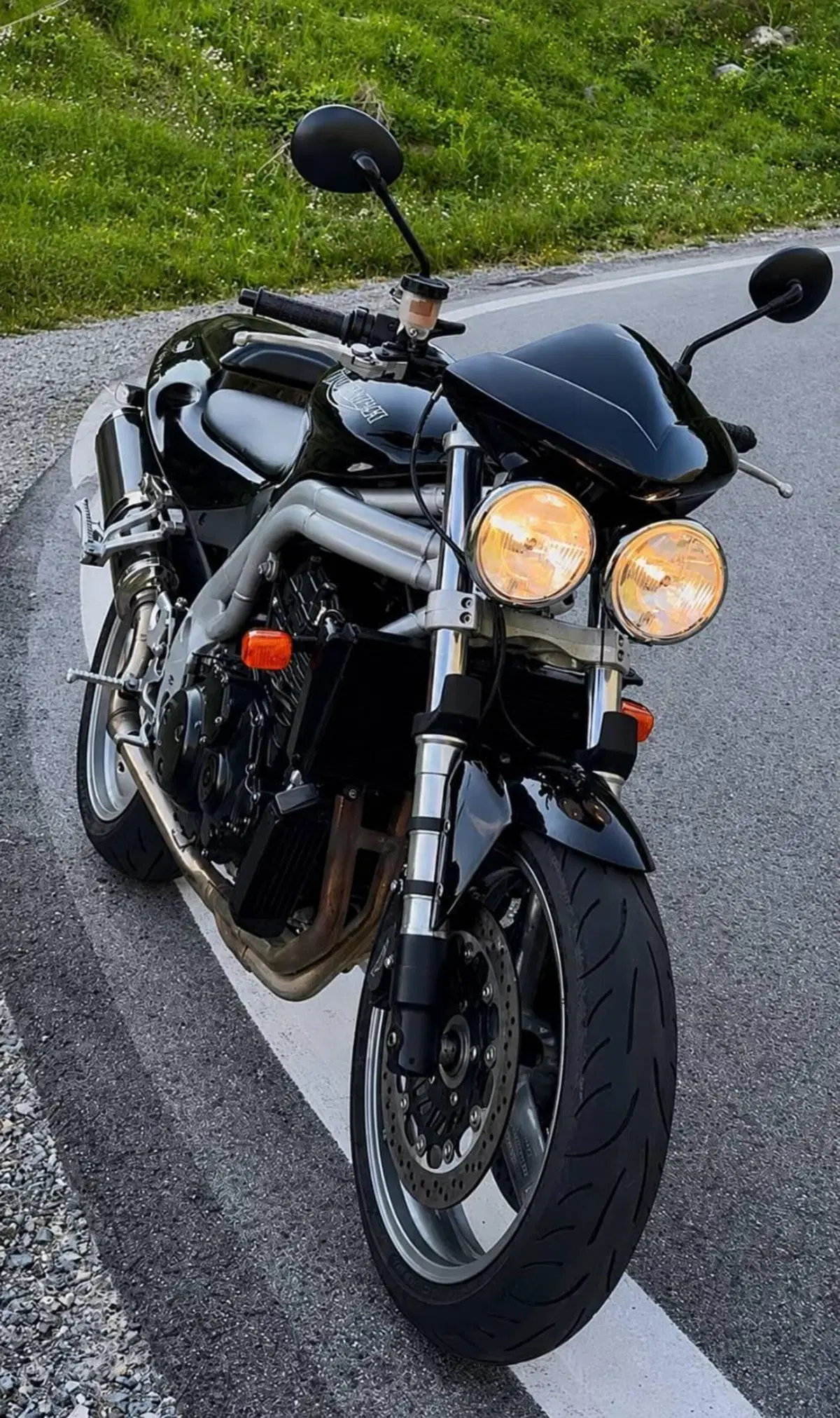 Triumph Speed Triple 955 (2002 - 04)
