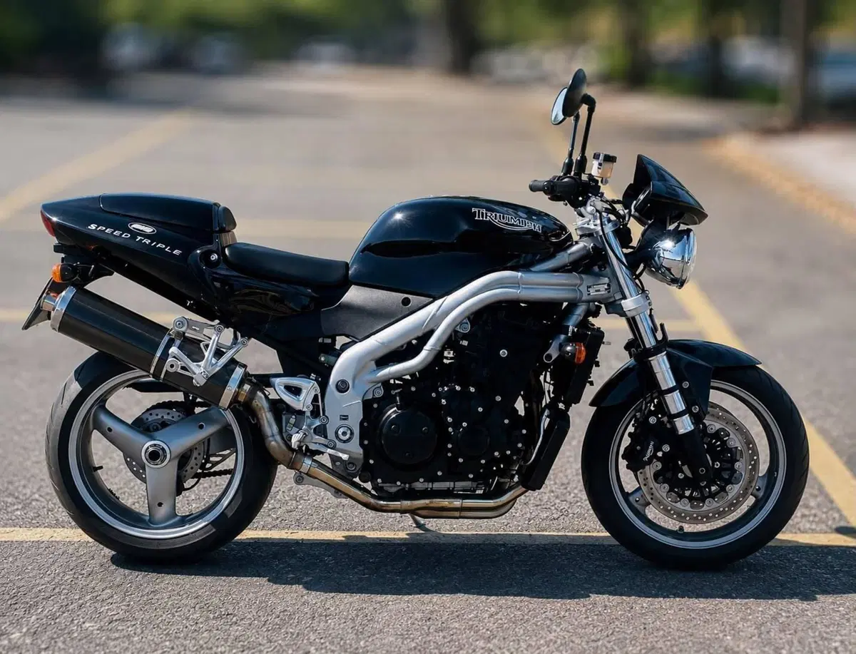 Triumph Speed Triple 955 (2002 - 04) (2)