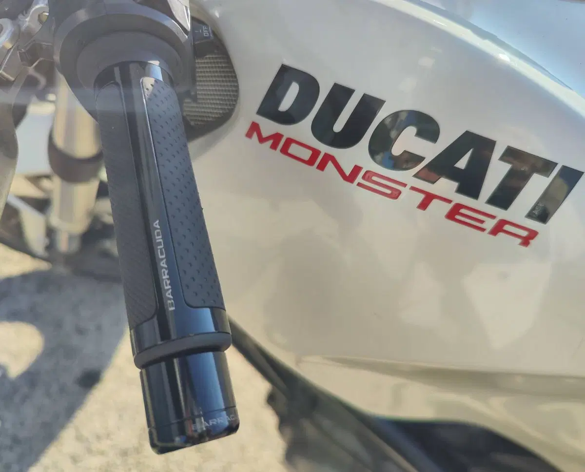 Ducati Monster 696 Plus (2007 - 14) (4)