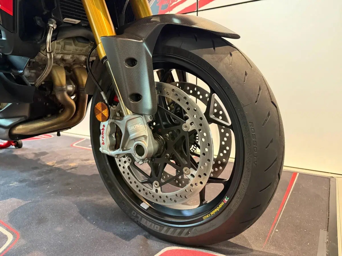 Ducati Multistrada V4 Pikes Peak (2025 - 26) (3)