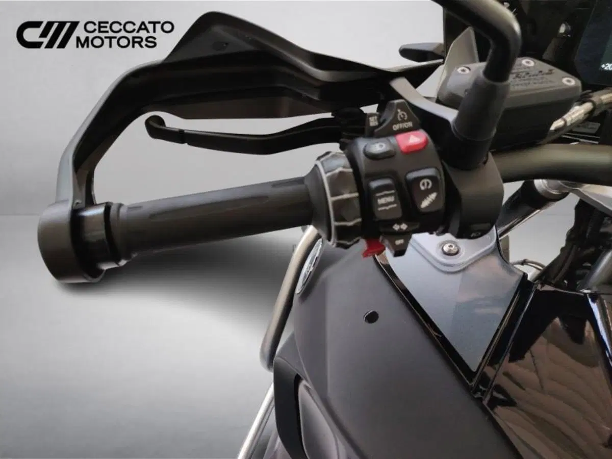 Bmw R 1250 GS Adventure (2021 - 24) (12)