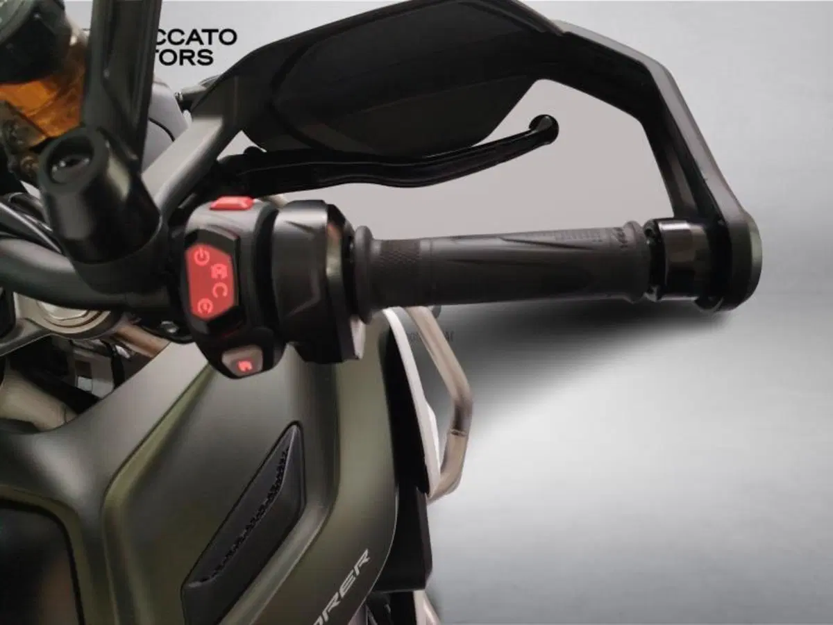 Triumph Tiger 1200 Rally Explorer (2022 - 23) (10)