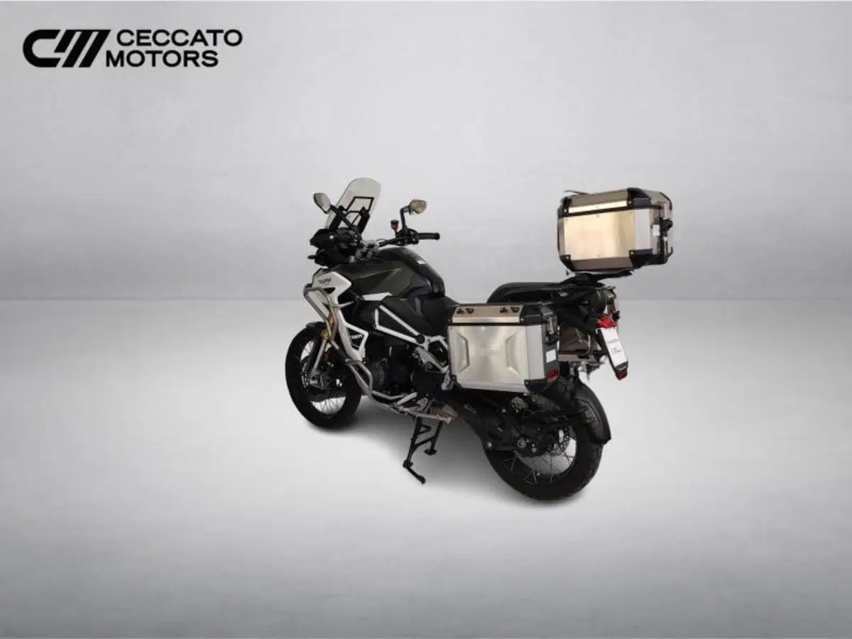 Triumph Tiger 1200 Rally Explorer (2022 - 23) (6)