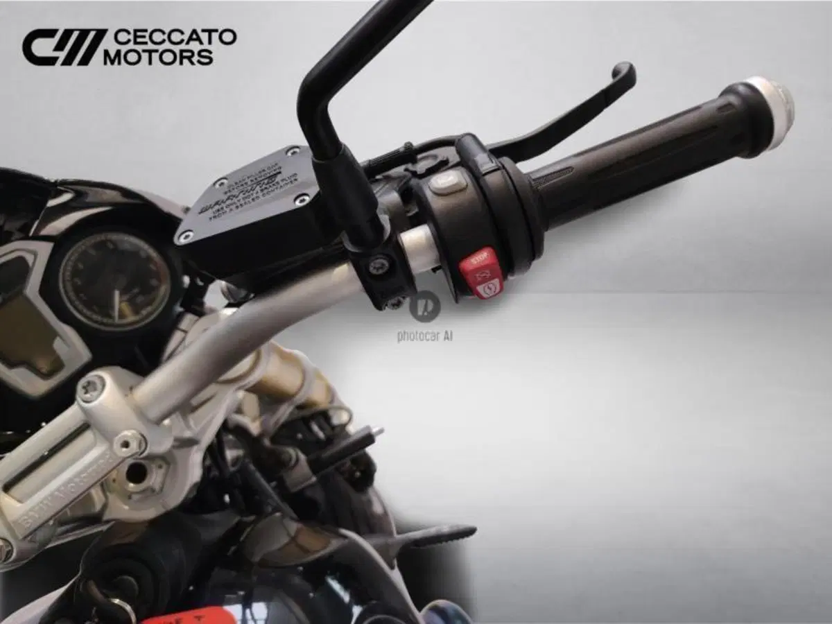 Bmw R nineT 1200 (2014 - 16) (9)