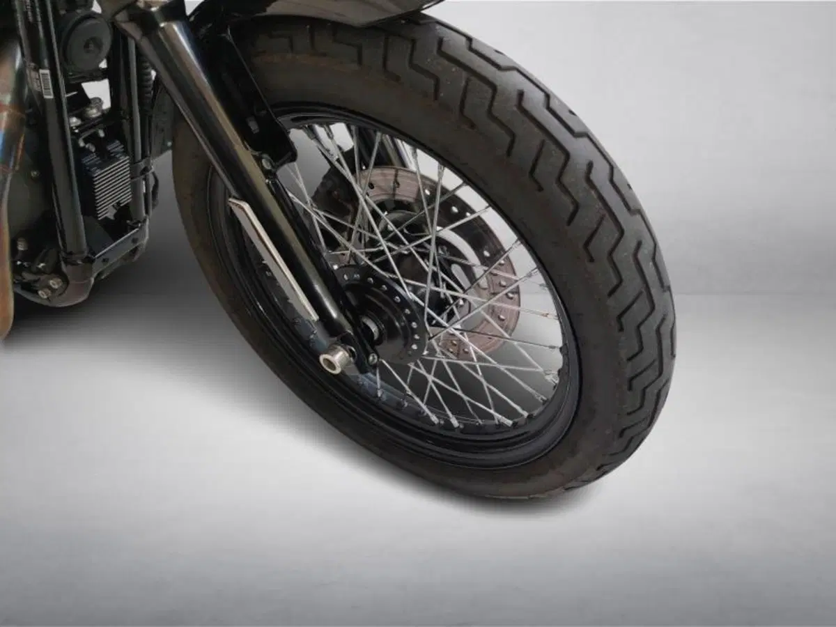 Harley-Davidson XL 1200N Nightster (2008 - 12) (14)