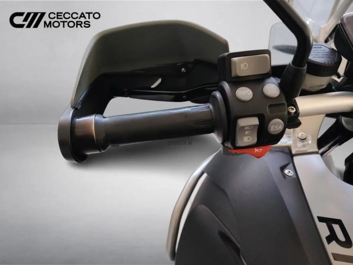 Bmw R 1200 GS (2008 - 09) (12)