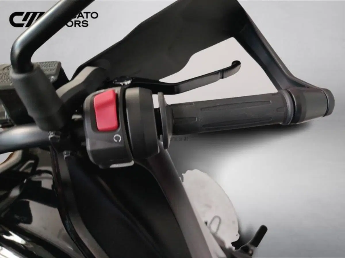 Bmw G 310 GS (2021 - 25) (11)