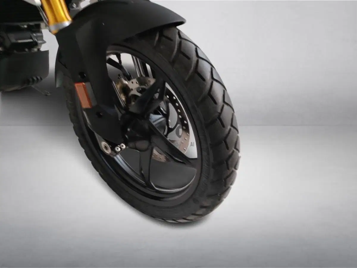 Bmw G 310 GS (2021 - 25) (14)