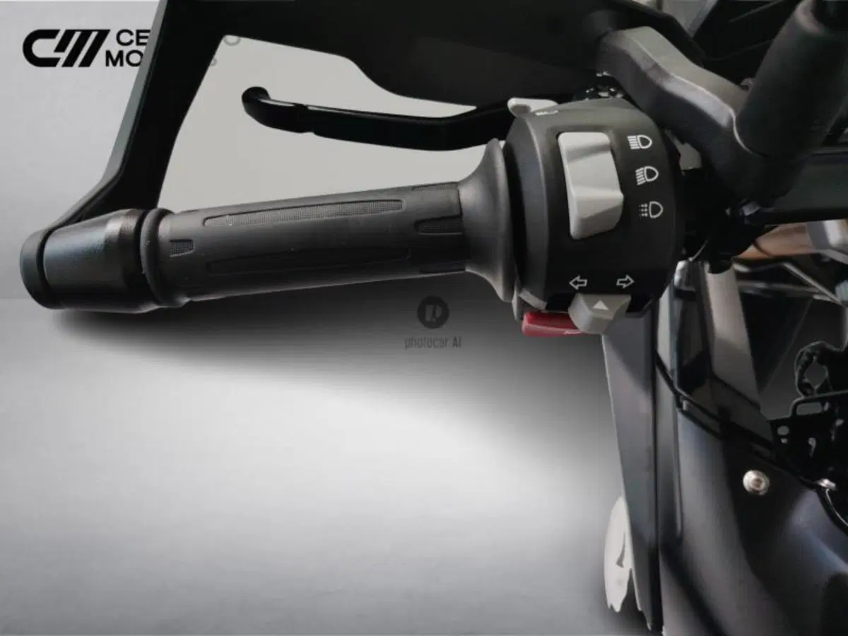 Bmw G 310 GS (2021 - 25) (12)