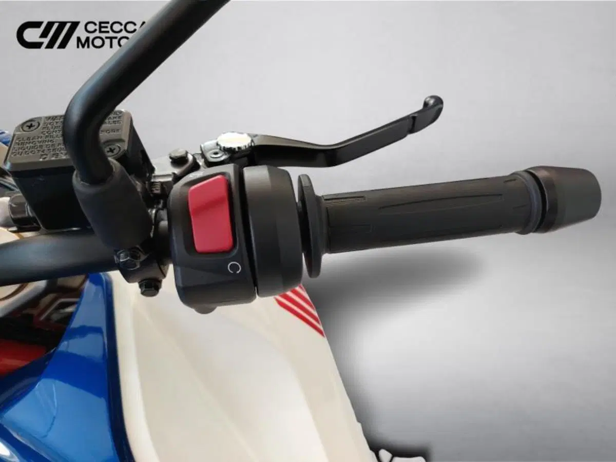 Bmw G 310 GS (2021 - 25) (10)