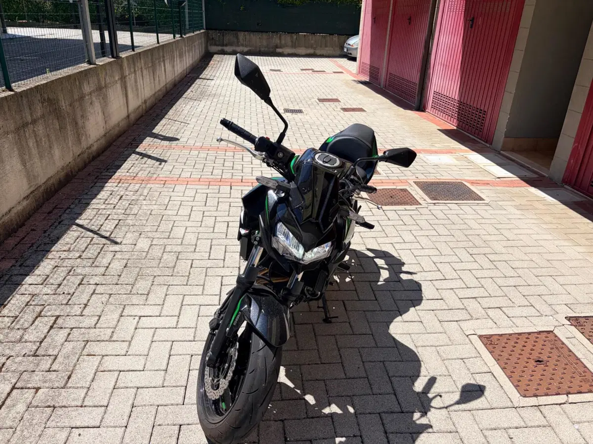 Kawasaki Z 650 (2025 - 26) (4)