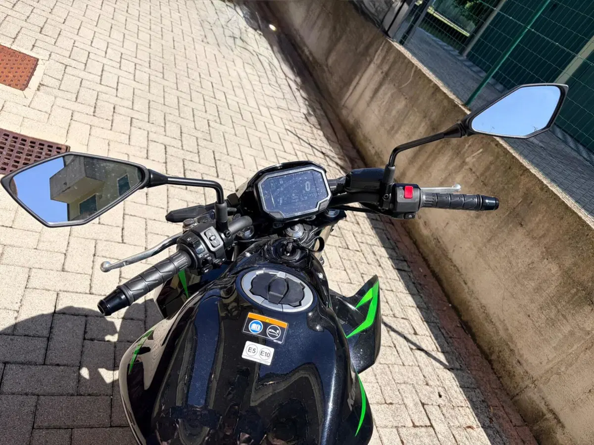 Kawasaki Z 650 (2025 - 26) (7)