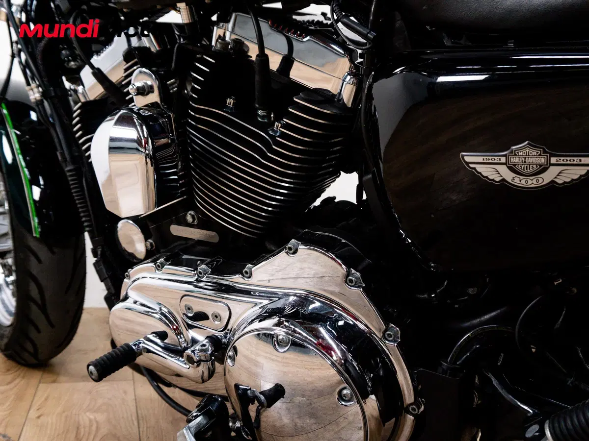 Harley-Davidson 1200 Custom ABS (2014 - 16) - XL 1200C (10)