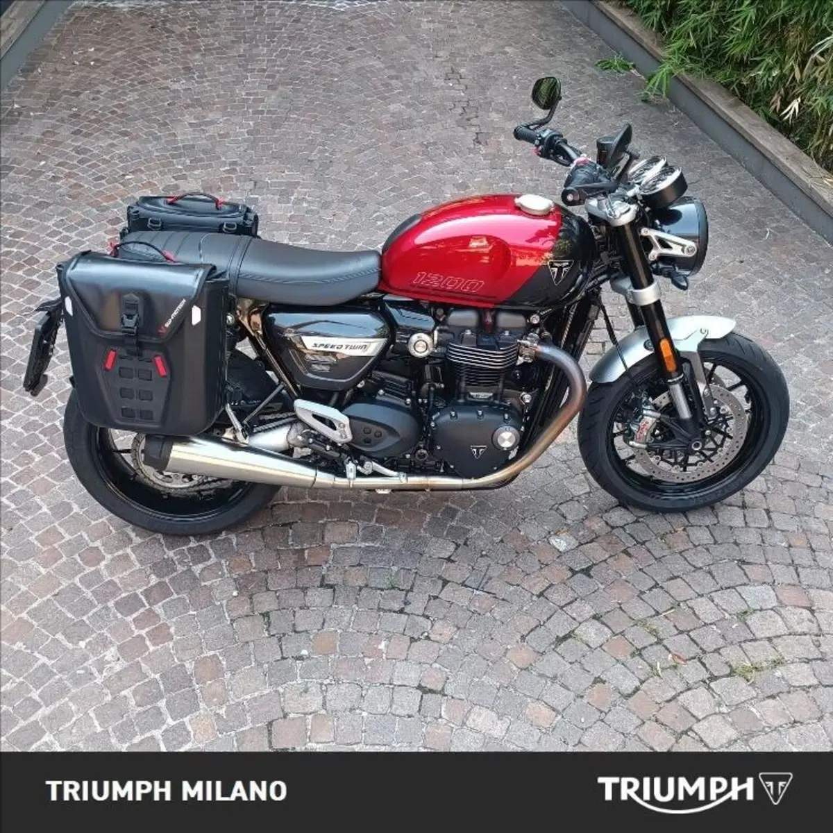 Triumph Speed Twin 1200 (2021 - 24)