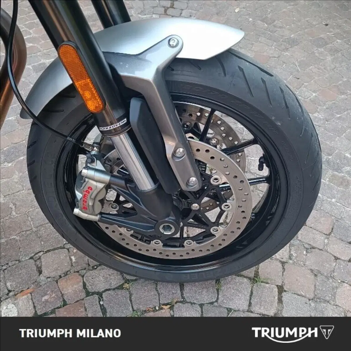 Triumph Speed Twin 1200 (2021 - 24) (5)