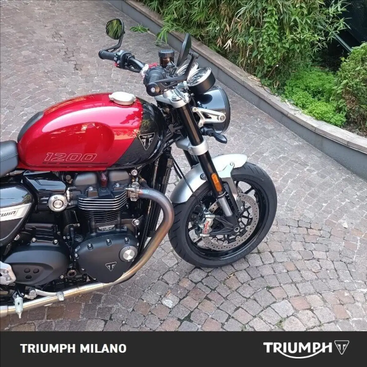 Triumph Speed Twin 1200 (2021 - 24) (4)