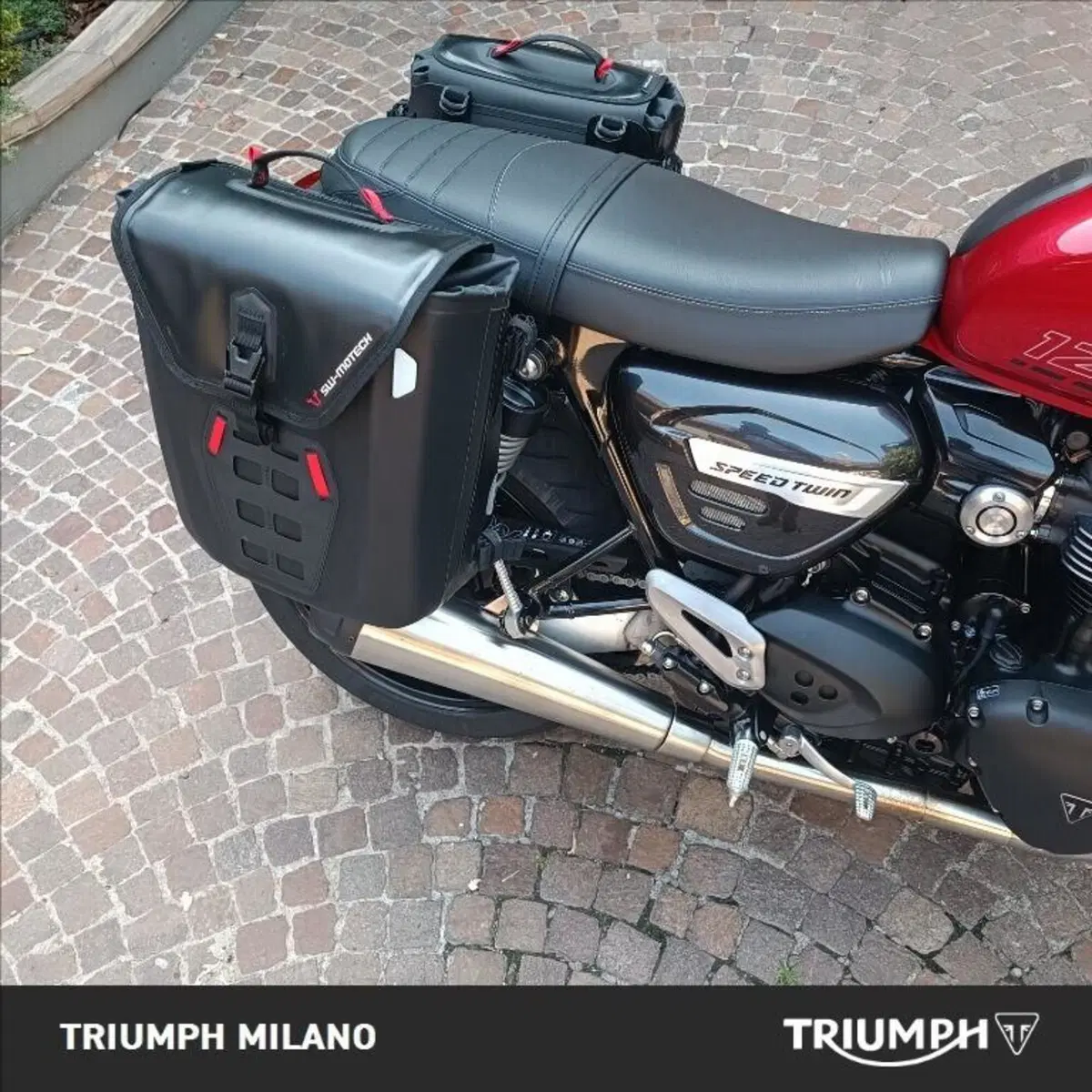 Triumph Speed Twin 1200 (2021 - 24) (2)