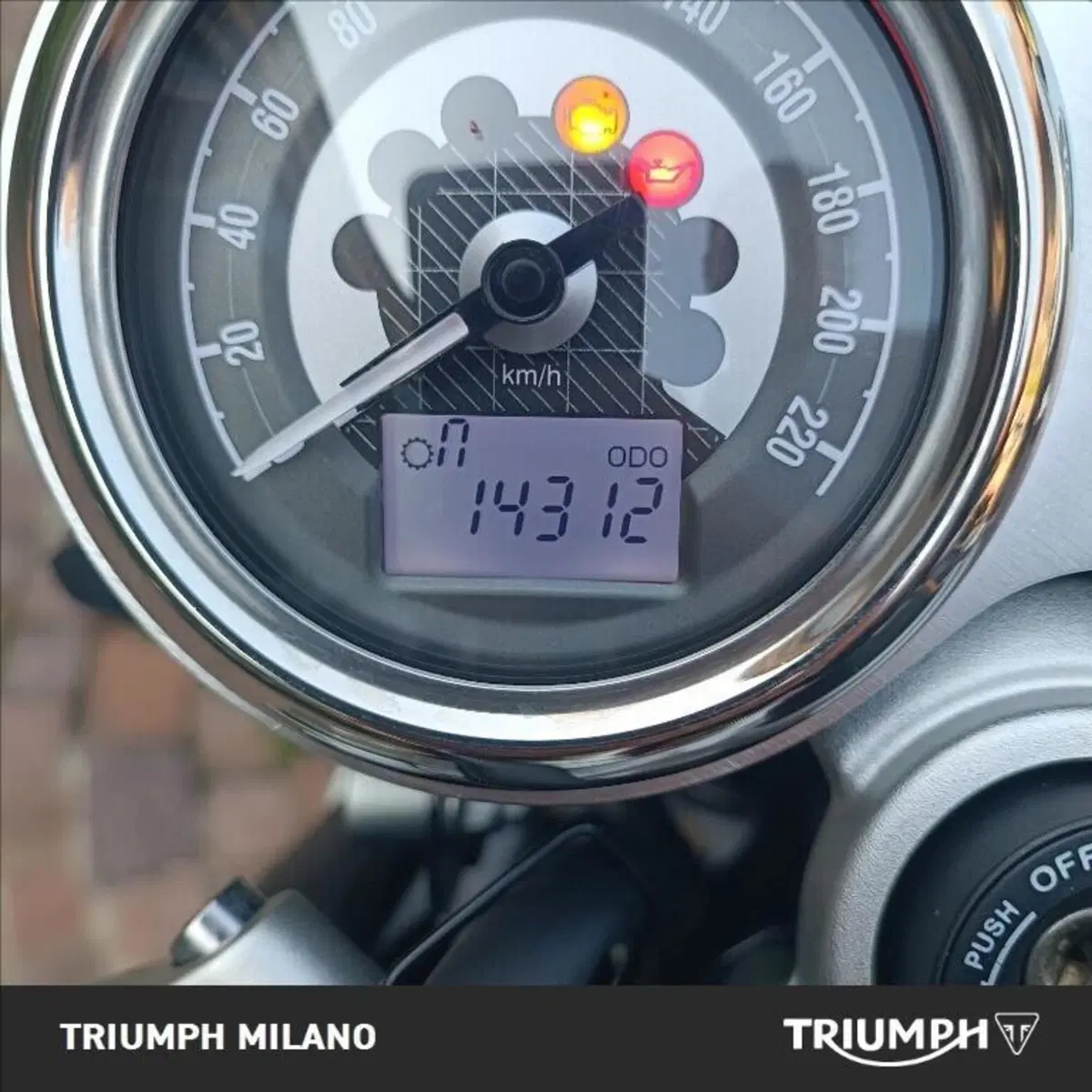 Triumph Speed Twin 1200 (2021 - 24) (7)
