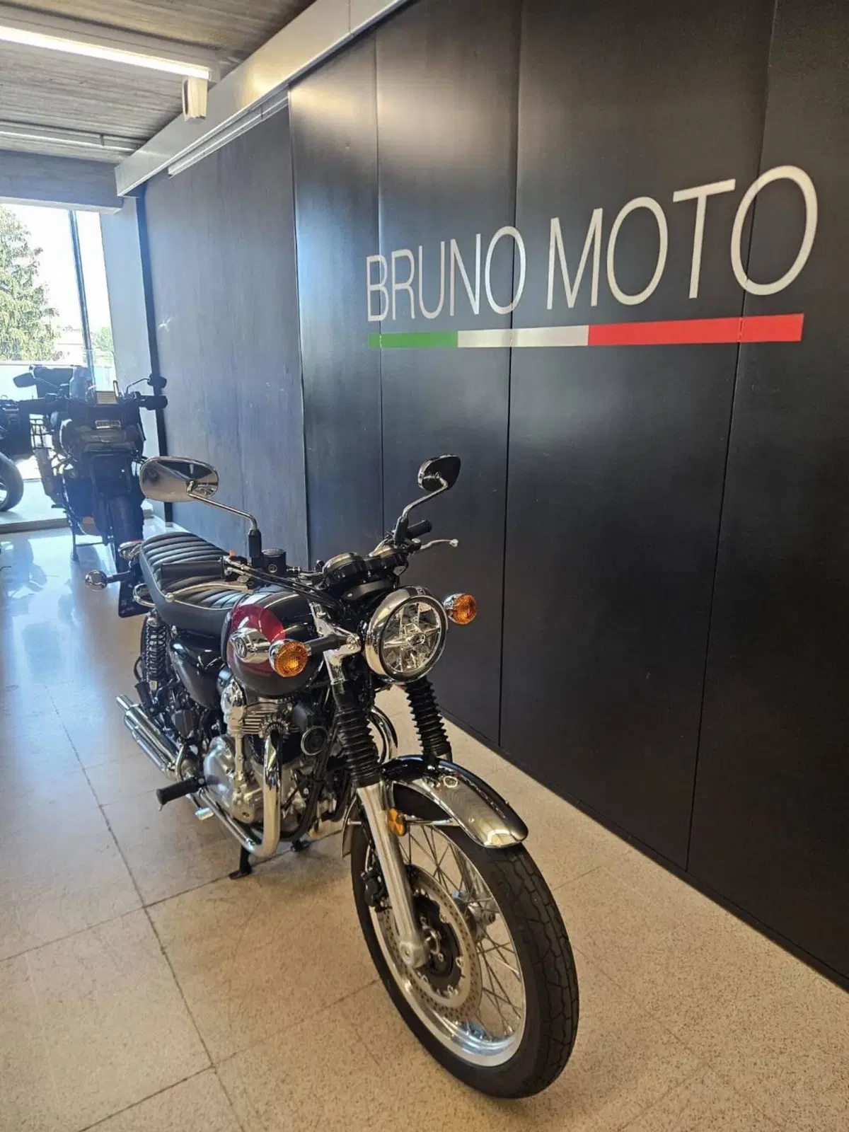 Kawasaki W 800 (2021 - 26) (6)