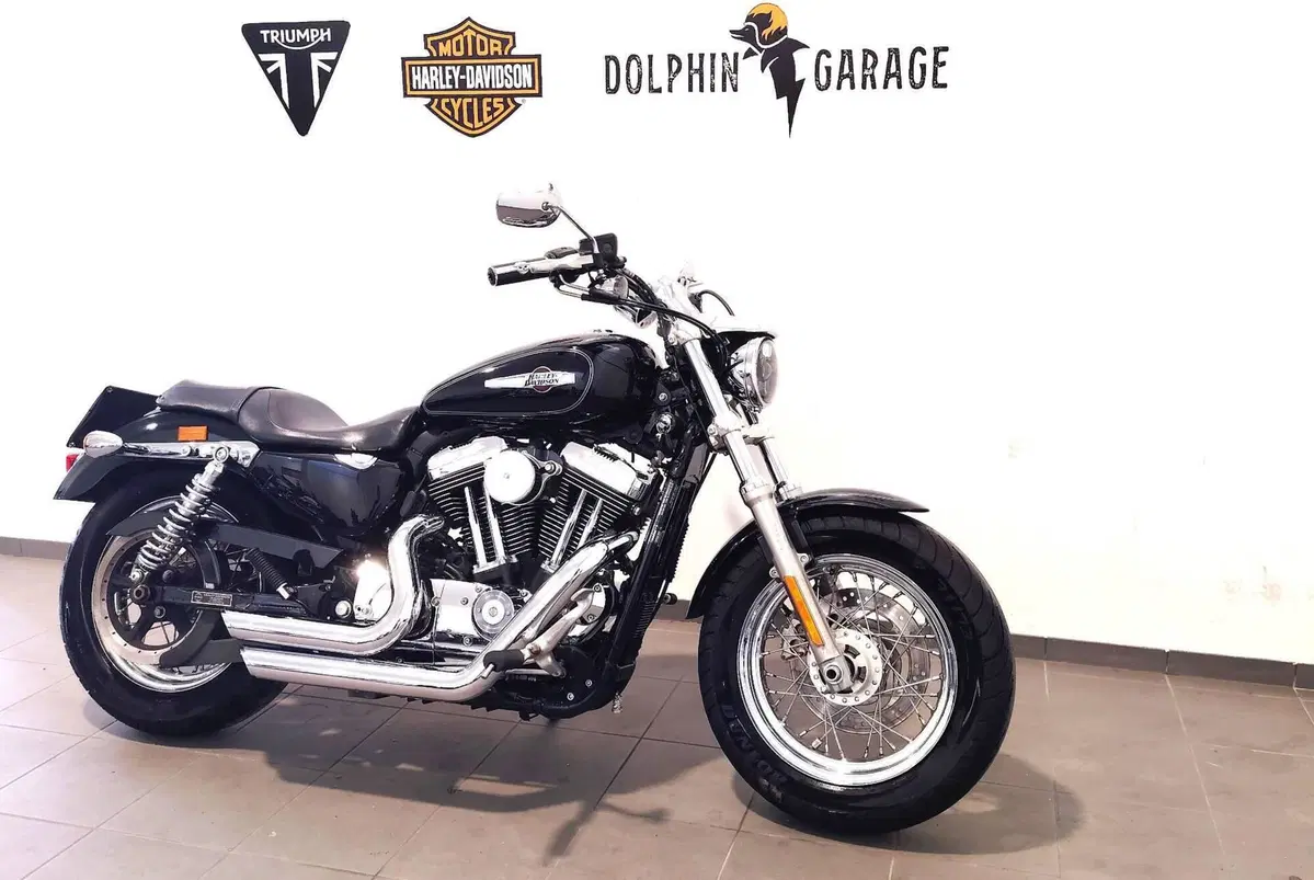 Harley-Davidson 1200 Custom (2007 - 13) - XL 1200C (4)