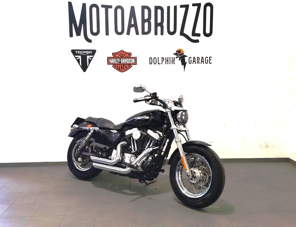 Harley-Davidson 1200 Custom (2007 - 13) - XL 1200C (5)