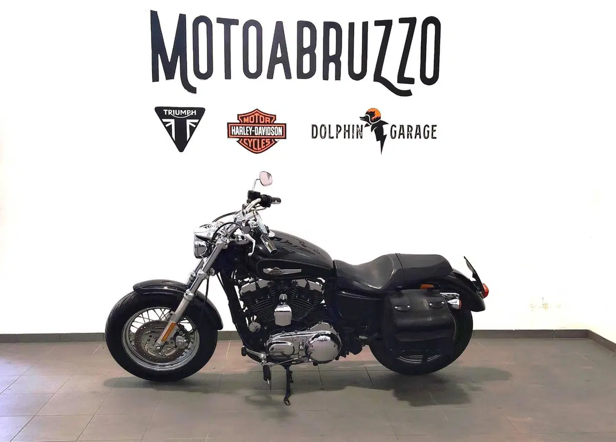 Harley-Davidson 1200 Custom (2007 - 13) - XL 1200C (7)